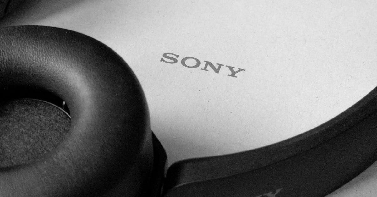 Black Sony over-ear noise cancelling headphones photographed on a clean white surface